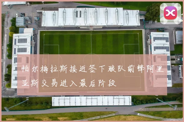 帕尔梅拉斯接近签下狼队前锋阿里亚斯交易进入最后阶段