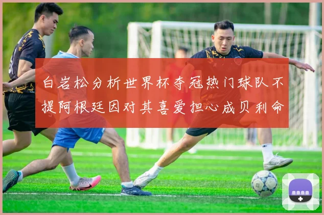 白岩松分析世界杯夺冠热门球队不提阿根廷因对其喜爱担心成贝利命运